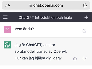 chatGPT bild