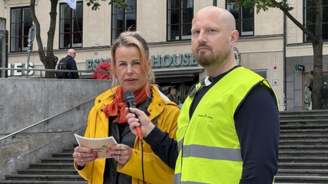 demo sverige 1